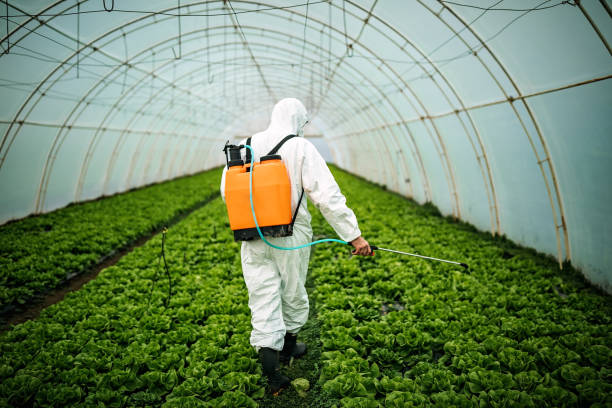 Best Pest Control Near Me  in Commerce, GA