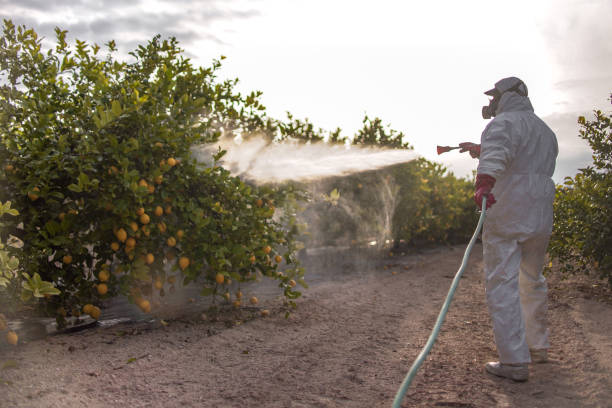 Best Emergency Pest Control  in Commerce, GA
