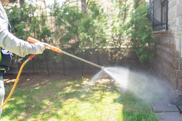 Insect Control in Commerce, GA
