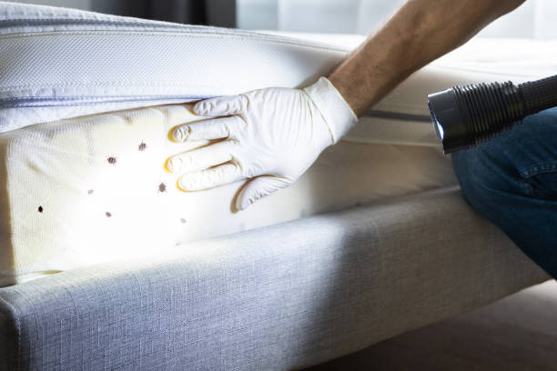 Best Affordable Exterminators  in Commerce, GA