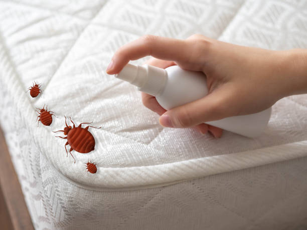 Best Pest Inspection Near Me  in Commerce, GA