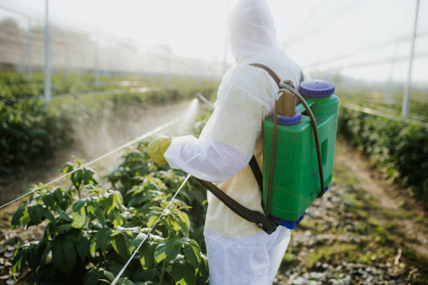 Best Pest Removal Services  in Commerce, GA